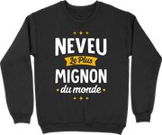 Pull homme neveu le plus mignon