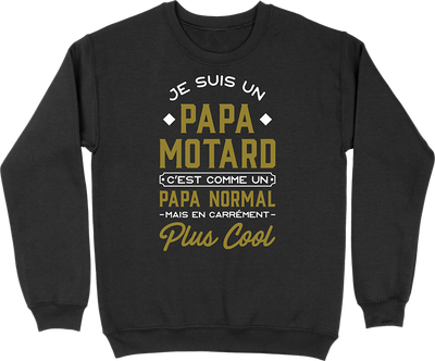 Pull homme papa motard 2