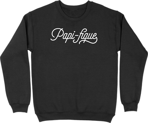 Pull homme papi-fique