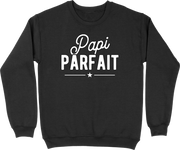 Pull homme papi parfait