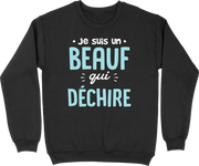 Pull homme un beauf qui déchire