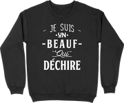 Pull homme un beauf qui déchire 2
