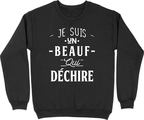 Pull homme un beauf qui déchire 2