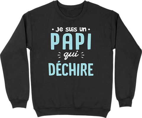 Pull homme un papi qui déchire 2