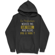 Sweat à capuche homme la perfection n'existe pas