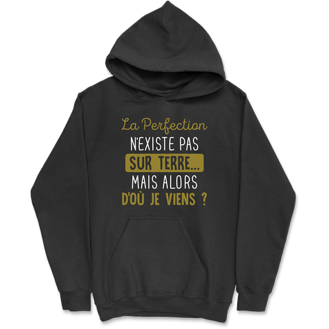 Sweat à capuche homme la perfection n'existe pas
