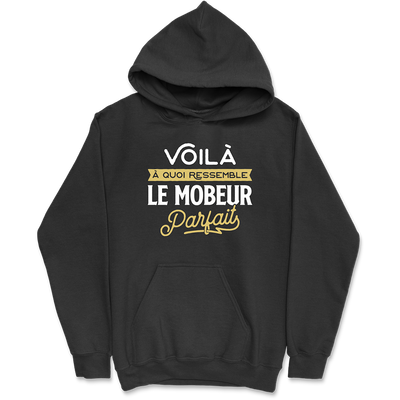 Sweat à capuche homme le mobeur parfait 2