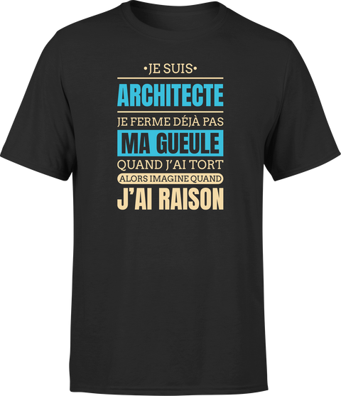 T shirt homme j ai raison je suis architecte