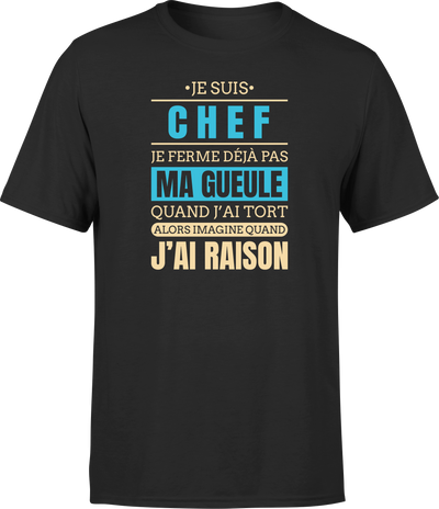 T shirt homme j ai raison je suis chef