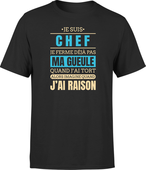 T shirt homme j ai raison je suis chef