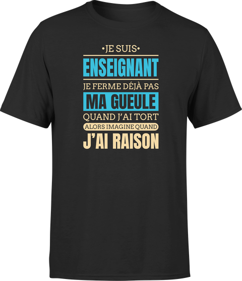 T shirt homme j ai raison je suis enseignant