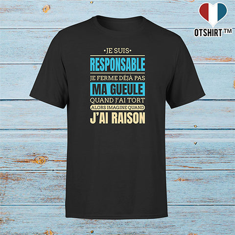 T shirt homme j ai raison je suis responsable