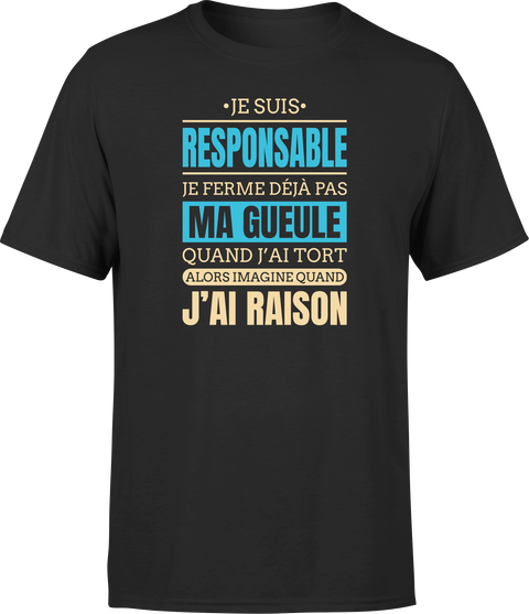 T shirt homme j ai raison je suis responsable